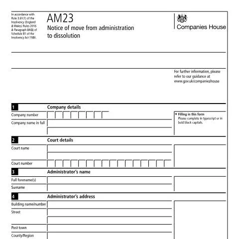 Document preview: The AM23 Document: A Guide to Company Dissolution — Business