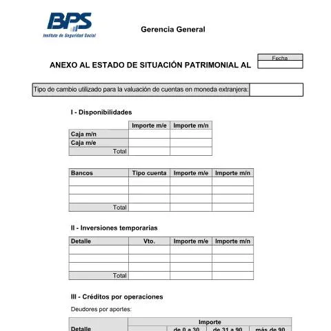 Vista previa del documento Importancia del Anexo al Estado Patrimonial y Resultados del BPS — Trámites administrativos