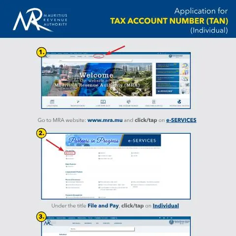 Document preview: Understanding the Importance of Your Tax Account Number (TAN) in — Taxes (CERFA n°ApplicationforTAN-Individual)