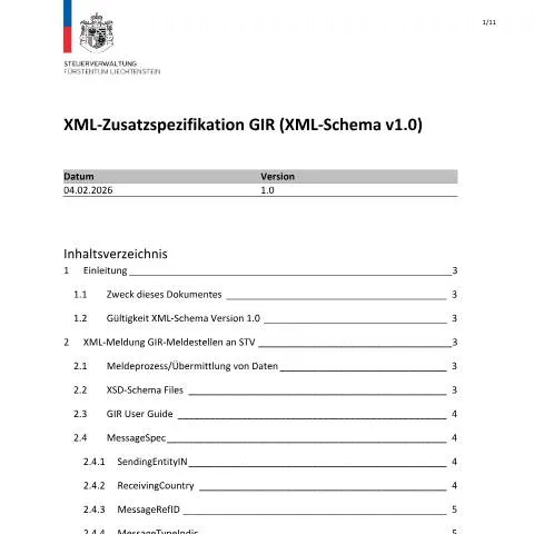 Dokumentvorschau: Wichtigkeit der XML-Zusatzspezifikationen in Liechtenstein — Steuern (CERFA n°int_gir_xml_zusatzspezifikation)