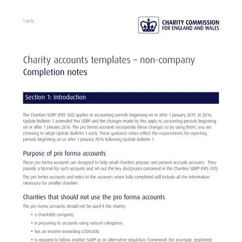 Document preview: SORP FRS 102 Charity Accounting Made Simple with CC17 Template — Government & admin