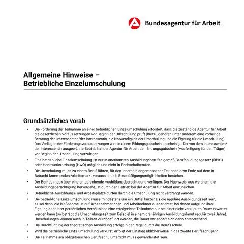 Dokumentvorschau: Wichtige Informationen zur Förderung der Einzelumschulung — Familie (CERFA n°allgemeine-hinweise-betriebliche-einzelumschulung_ba053031)