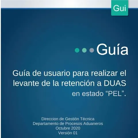 Vista previa del documento Importancia del Formulario MH DGA PRO 12 GUI 001 en Costa Rica — Impuestos (CERFA n°MH-DGA-PRO12-GUI-001LevanteretencionDUASenestadoPEL)