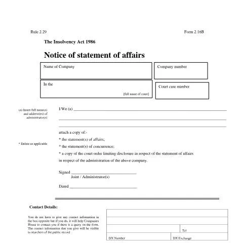 Document preview: Understanding the Notice of Statement of Affairs (Form 2.16B) — Business
