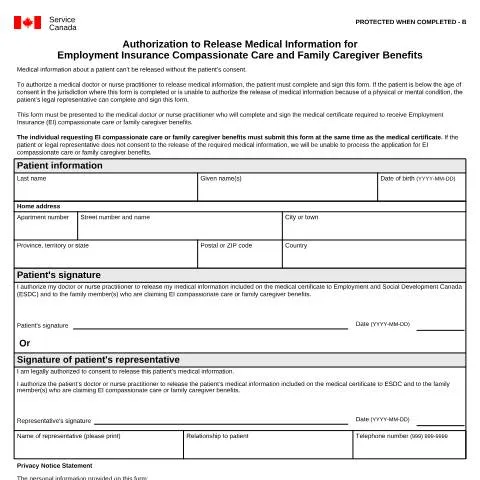 Document preview: Navigating INS5257 for Compassionate Care Benefits — Health (CERFA n°INS5257)