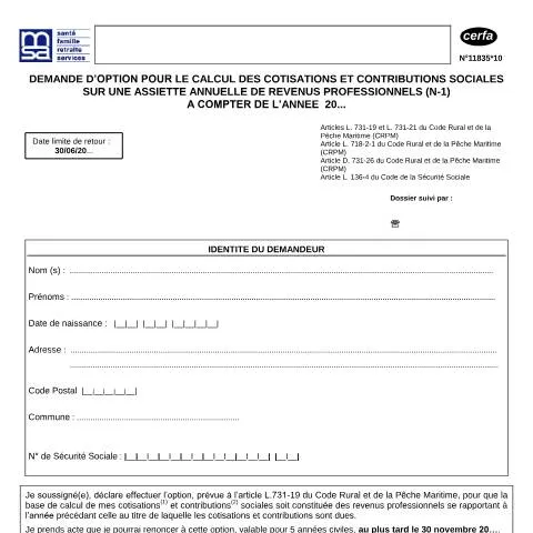 Aperçu du document Demande d'option assiette annuelle revenus professionnels — Impôts & fiscalité (CERFA n°11835*10)