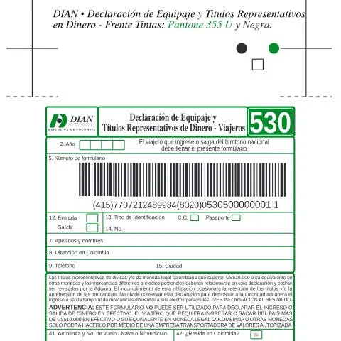 Vista previa del documento Guía sobre la Declaración de Equipaje y Títulos Representativos en — Aduanas y comercio (CERFA n°F530-2004)