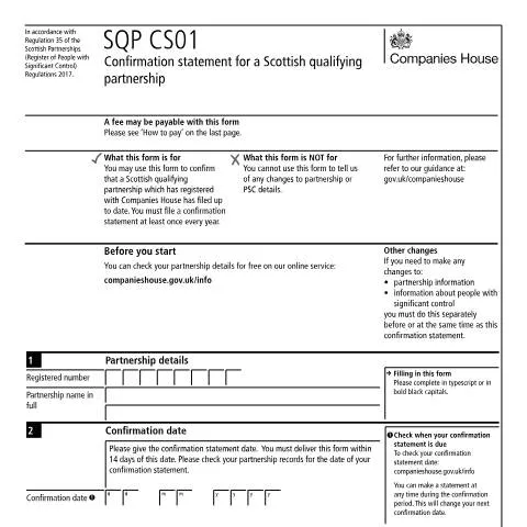 Document preview: Essential Insights on the SQP CS01 Confirmation Statement — Business
