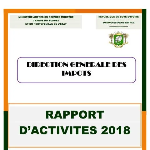 Aperçu du document Analyse du Rapport d'Activités 2018 de la DGI — Démarches administratives