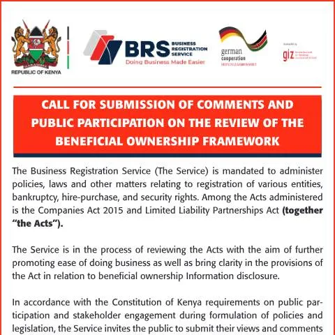 Document preview: Understanding the BRS-PUBLICNOTICE-9X16-3 Document — Government & admin (CERFA n°BRS-PUBLICNOTICE-9X16-3)
