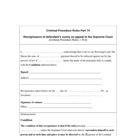 Document preview: Understanding the Role of Surety Recognizance in Appeals — Legal & justice