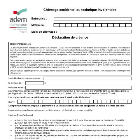 Aperçu du document Comprendre la Déclaration de créance en cas de chômage involontaire — Emploi & travail (CERFA n°CHOM-accidentel-tech-creance)