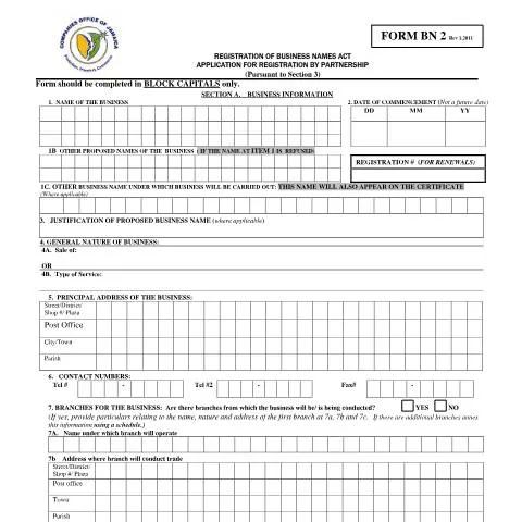 Document preview: Comprehensive Guide to the BN2 Form for Business Renewal — Government & admin (CERFA n°BN 2 FORM Rev 01. 2011)