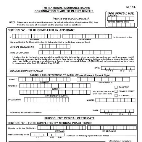 Document preview: Understanding the NI19A Form for Workplace Injury Claims — Government & admin (CERFA n°NI19A)