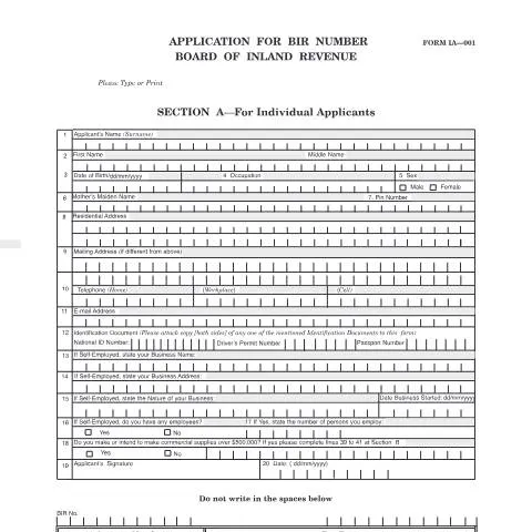 Document preview: Understanding the IA 001 Application for BIR Number — Government & admin (CERFA n°IA001)