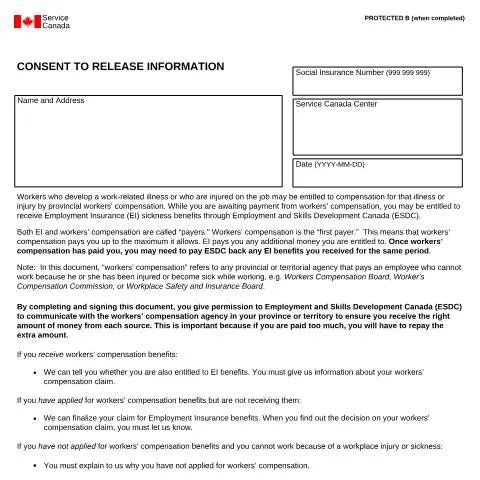 Document preview: The Importance of the INS5246 Form in Employment Insurance Claims — Work & employment (CERFA n°INS5246)