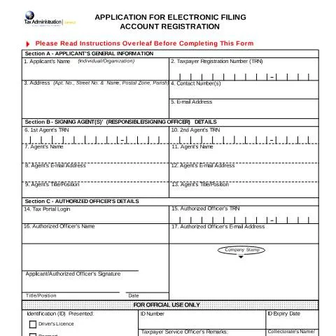 Document preview: Register Your Electronic Filing Account in Jamaica — Government & admin (CERFA n°app_electronic_filing)
