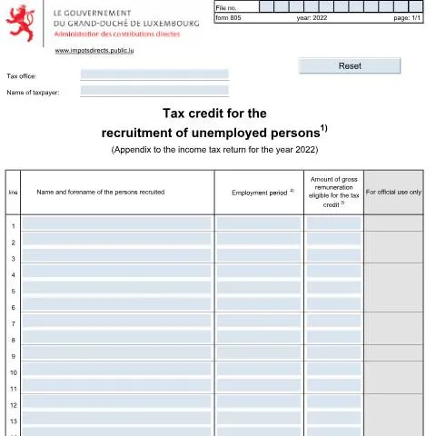 Aperçu du document Formulaire 805 E : Un atout pour l'emploi au Luxembourg — Impôts & fiscalité (CERFA n°805 E)