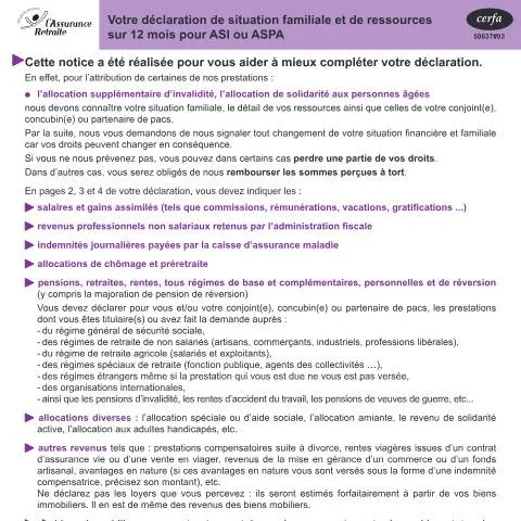 Aperçu du document Déclaration ASPA/ASI : comprendre l'évaluation patrimoniale — Emploi & travail (CERFA n°11370*03)