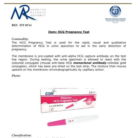 Document preview: Understanding HCG Pregnancy Test in Mauritian Trade — Government & admin (HCGPregnancyTest)