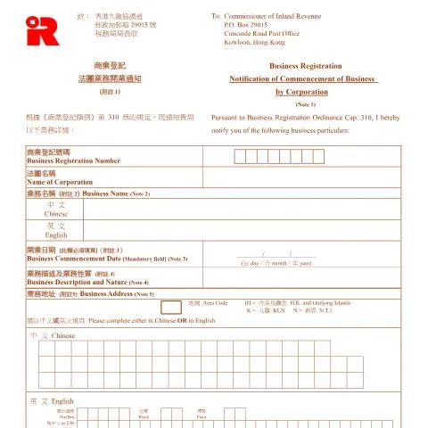 Document preview: Understanding the IRBR 200 Business Notification Process — Business (CERFA n°IRBR 200*)