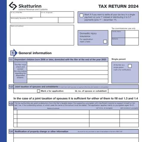 Document preview: Skattaskýrsla RSK 1.10 fyrir einstaklinga 2024 — Skattar & fjármál (CERFA n°RSK 1.10)