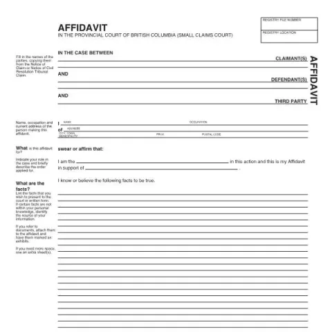 Document preview: Guide to Affidavit Form SCL 848 in British Columbia Small Claims Court — Legal & justice (SCL 848)