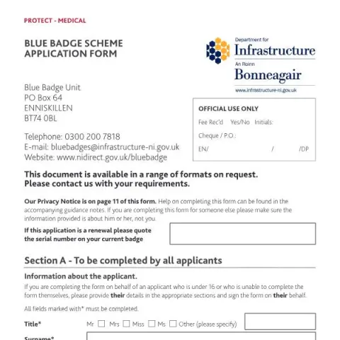 Document preview: Understanding the Blue Badge Scheme Application Process in Northern — Government & admin