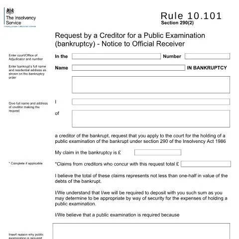 Document preview: Understanding Rule 10.101 for Public Examination Requests — Legal & justice