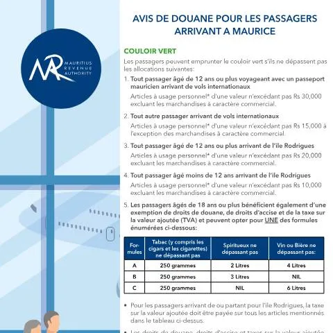Document preview: Essential Guide to the Customs Information Document for Travelers — Government & admin (CustomsInformationFr)