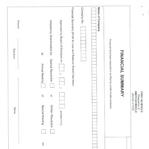 Document preview: The Importance of the F24FS for Small Enterprises — Government & admin (CERFA n°F24FS-1)