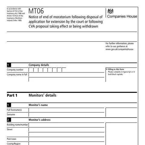 Document preview: Understanding the MT06 Form for Company Directors — Government & admin