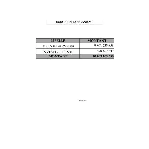 Aperçu du document Comprendre le Budget de l'Organisme 2021 et ses Enjeux — Démarches administratives