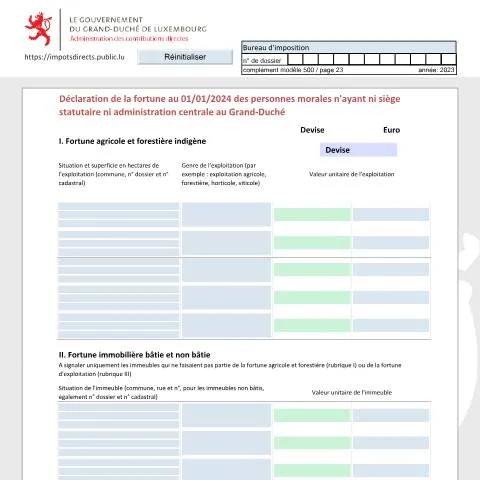 Aperçu du document Comprendre la déclaration de fortune des personnes morales au — Démarches administratives (CERFA n°nrf-f)
