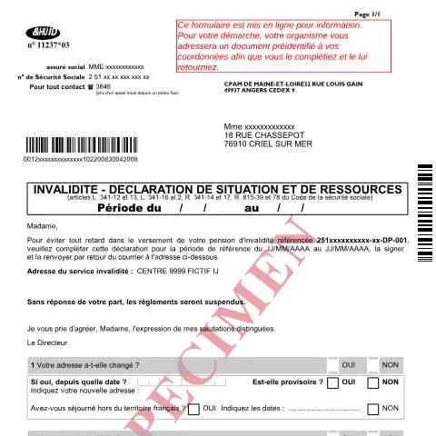 Aperçu du document Déclaration annuelle pension invalidité : guide du formulaire 11237*03 — Santé (CERFA n°11237*03)