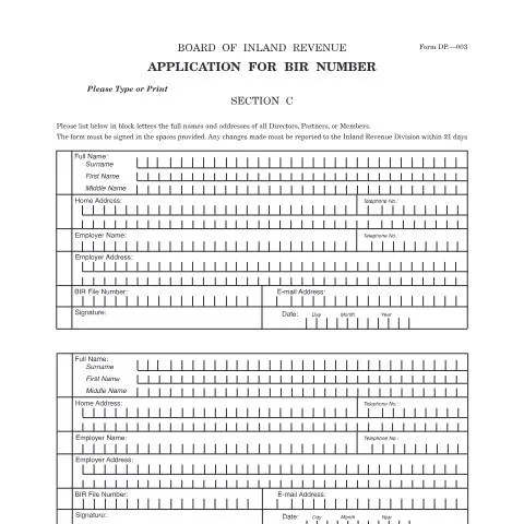 Document preview: Unlocking the BIR Number Application: Insights on Form DP003 — Government & admin (CERFA n°DP003)