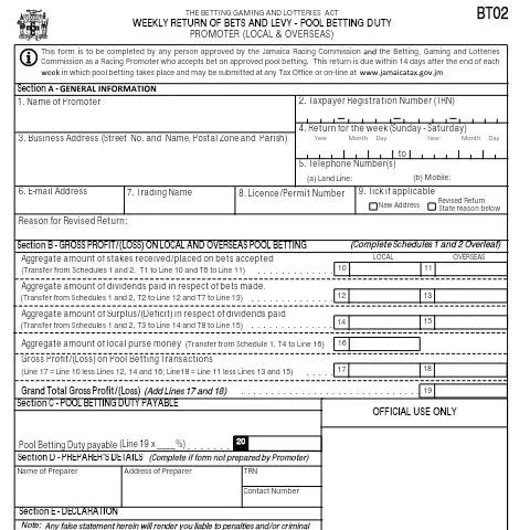 Document preview: Understanding the BT02 Pool Betting Reporting Form in Jamaica — Government & admin (CERFA n°bt02_19082016)