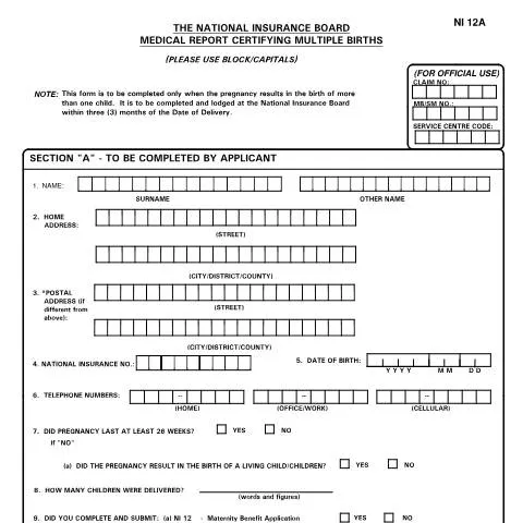Document preview: Understanding the NI12A Form for Multiple Births — Government & admin (CERFA n°NI12A)