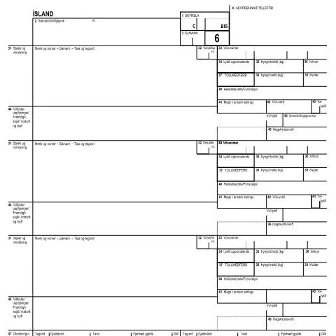 Document preview: Innflutningskýrsla SAD-E2.2-6: Nauðsynleg skýrsla fyrir innflutning — Tollur & innflutningur