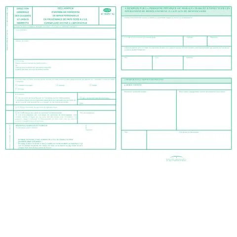 Aperçu du document Formulaire 10070*03 : Guide complet pour l'importation de biens — Immigration & visas (CERFA n°10070*03)