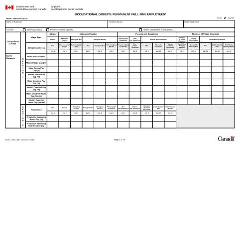 Document preview: Understanding Form 2D for Employment Equity in Canada — Work & employment (CERFA n°LAB1199D)