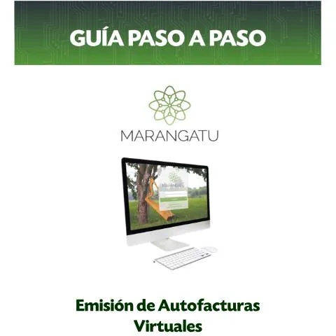 Vista previa del documento Emisión de facturas virtuales en Paraguay paso a paso — Trámites administrativos