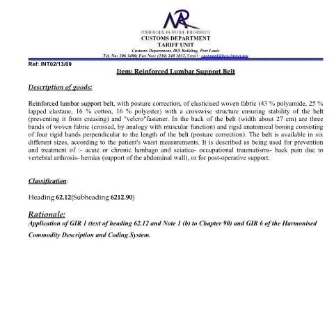 Document preview: Essential Guide to Reinforced Lumbar Support Belt Classification — Government & admin (ReinforcedLumbar)