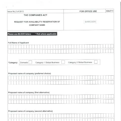 Document preview: Understanding the F11 Form for Business Name Reservation — Government & admin (F11-1)
