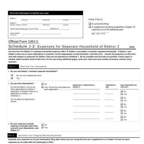 Document preview: Understanding Schedule J-2: Expenses for Debtor 2's Separate Household — Legal & justice (106J-2)