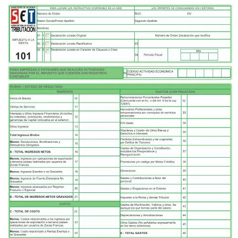 Vista previa del documento Formulario 101 Declaraciones Juradas Paraguay — Impuestos (CERFA n°F101)