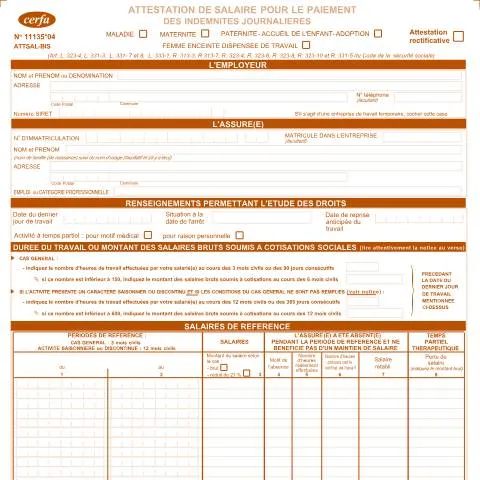 Aperçu du document Comment remplir l'attestation de salaire pour indemnités journalières — Démarches administratives (CERFA n°11135*04)