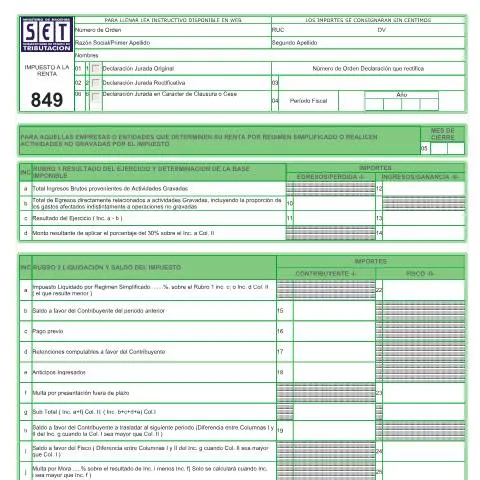 Vista previa del documento Formulario 849 Declaraciones Juradas en Paraguay — Impuestos (CERFA n°F849)