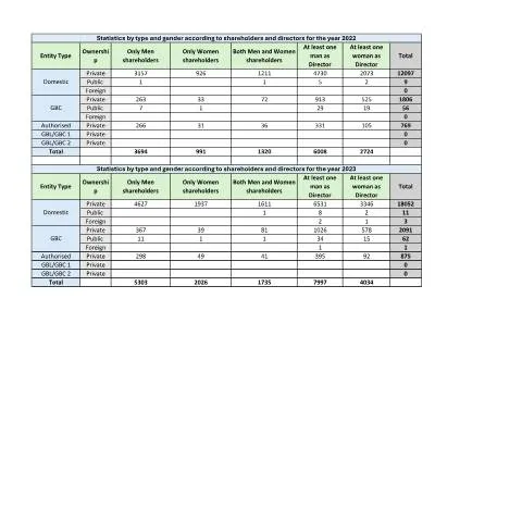 Document preview: Understanding Gender Dynamics in Corporate Leadership 2022-2025 — Government & admin (Statistics-by-type-and-gender-according-to-shareholders-and-directors-for-the-year-2022-2025)