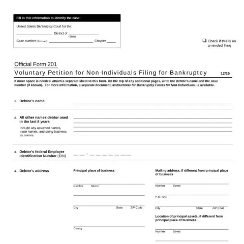 Document preview: Understanding Official Form 201: Bankruptcy Petition — Legal & justice (201)